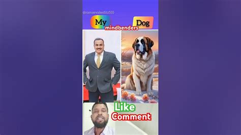 Best Digi.